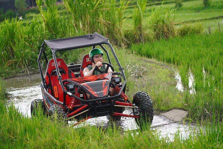 Buggy Dschungel UTV Abenteuer in Ubud