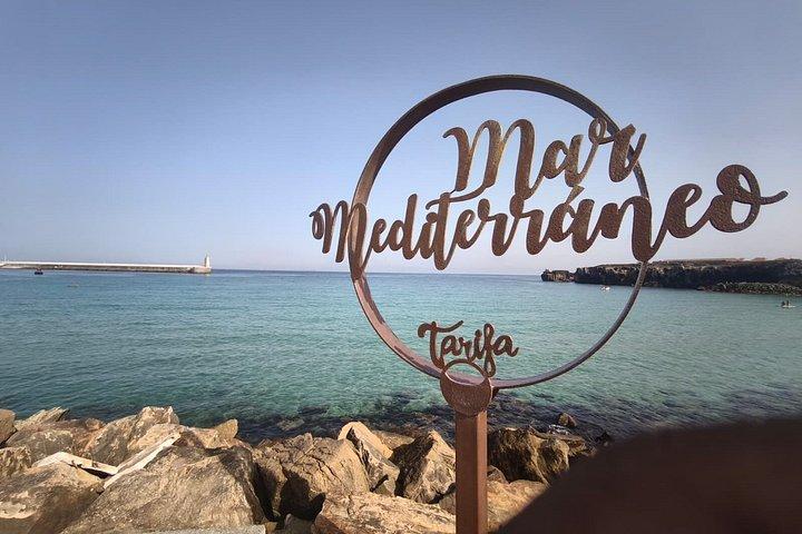 セビリアからの日帰りツアー - ビーチ、クジラ、イルカ