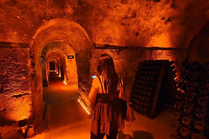 7つのテイスティング名門メゾンを巡るパリ発シャンパン日帰り旅行