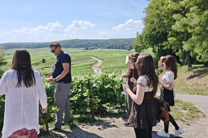 4つのテイスティング、ランス＆セラー付きパリ発シャンパン日帰り旅行