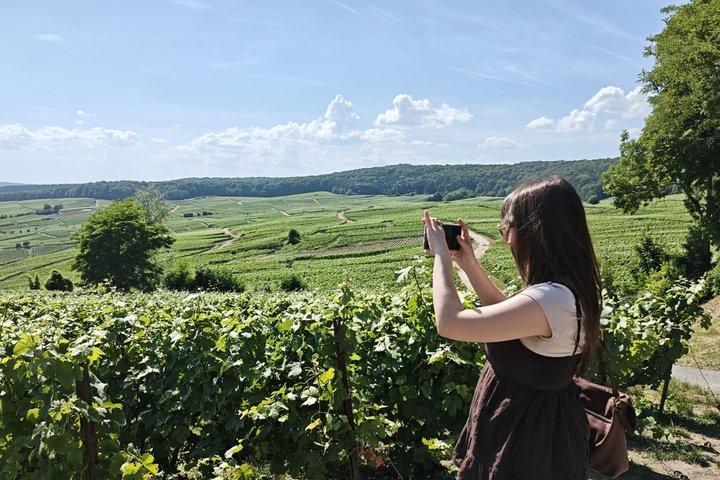 4つのテイスティング、ランス＆セラー付きパリ発シャンパン日帰り旅行