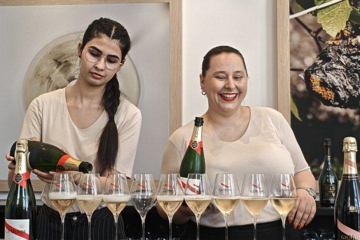 4つのテイスティング、ランス＆セラー付きパリ発シャンパン日帰り旅行