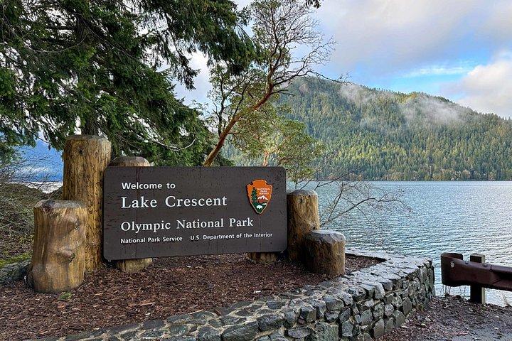 From Seattle: Hoh Rain Forest and Rialto Beach Tour
