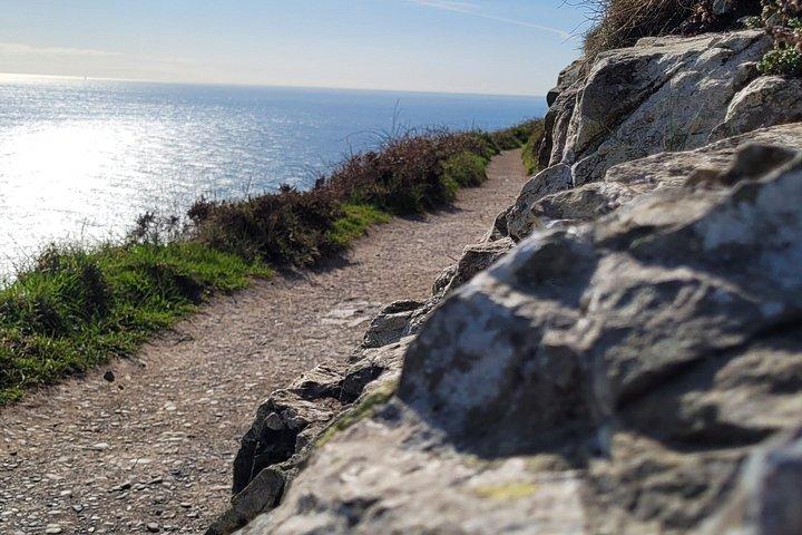 Howth Cliff Walk Guided Scenic Wildlife Hike