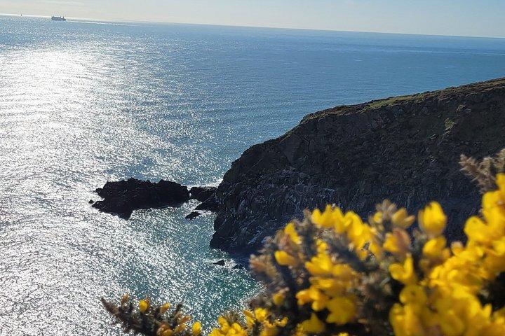 Howth Cliff Walk Guided Scenic Wildlife Hike