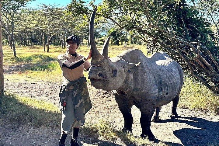 ナイロビからオルペジェタ保護への日帰りツアー