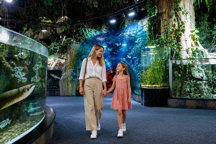 Dubai Top Five Attractions Tour With Entry Tickets
