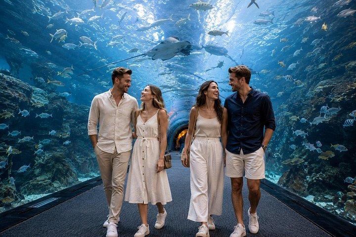 Dubai Top Five Attractions Tour With Entry Tickets