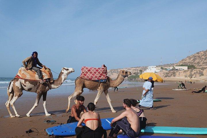 From Agadir: Taghazout Full-Day Beginner Surf Lesson & Lunch