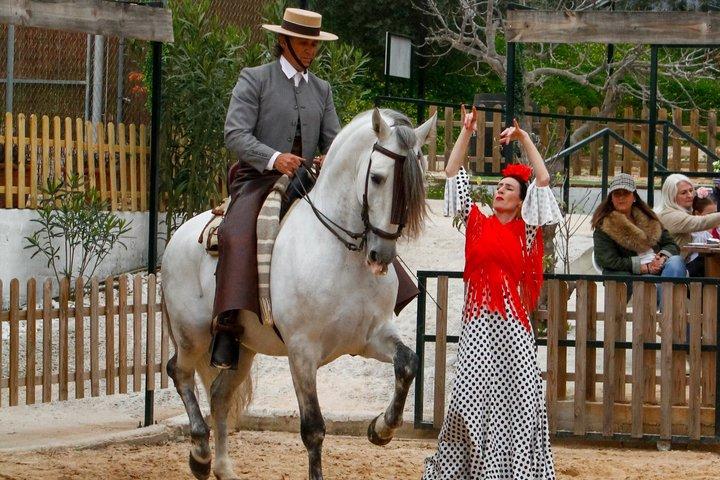 Auténtica experiencia de cena Caballos Españoles y Fusión Flamenca