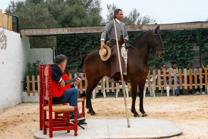 Auténtica experiencia de cena Caballos Españoles y Fusión Flamenca