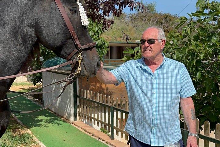 本格ディナー体験スペイン語馬とフラメンコの融合