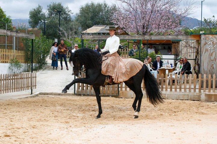 本格ディナー体験スペイン語馬とフラメンコの融合