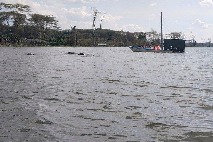 ヘルズゲート、ナイバシャ、クレセントアイランドデイサファリ