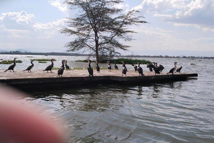 Safari por la Puerta del Infierno, Naivasha y la Isla de la Media Luna