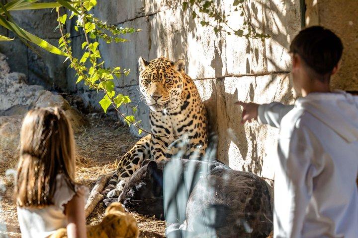 Terra Natura Benidorm入場チケット