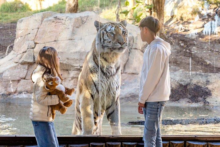 Terra Natura Benidorm入場チケット