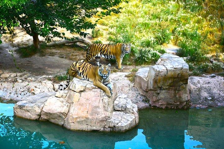 Terra Natura Benidorm入場チケット