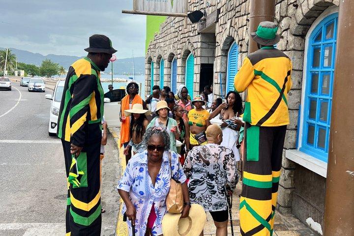 Tour panorámico de Montego Bay