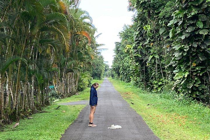 Hilo Shore Excursion: Volcanic Experience, Lava Tubes, Waterfalls