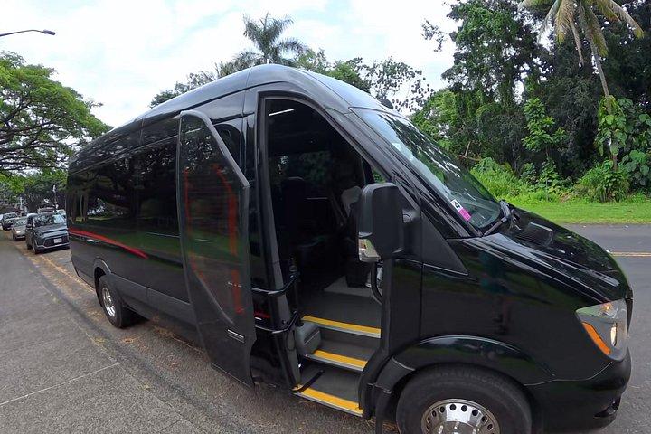 Hilo Shore Excursion: Volcanic Experience, Lava Tubes, Waterfalls
