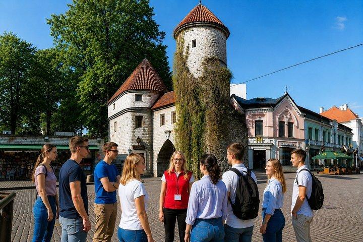 Tallinn Gamla Stan Vandringstur Medeltida till Digital Estland