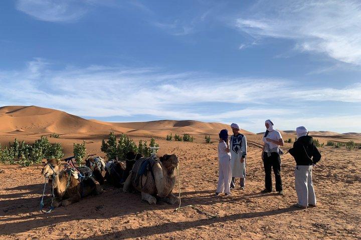 Private 7 - Day Luxury Morocco Tour : Sahara & Imperial Cities