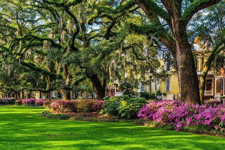Bilhete de balsa de ida e volta de Hilton Head para Savannah