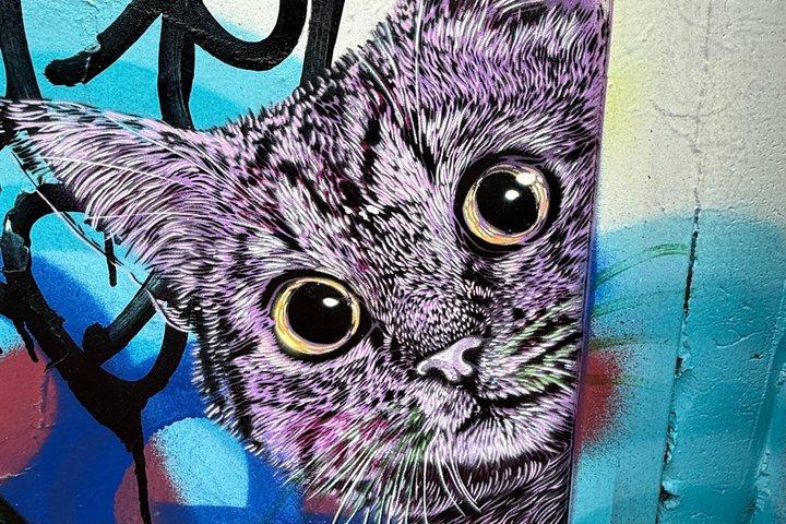 RiNo Street Art Stroll - Tour of Denvers Famous Murals & Graffiti