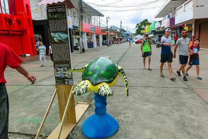 プエルト・リモン観光海岸エクスカーション