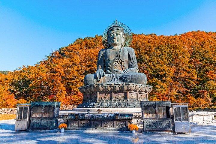 ソウル発雪岳と洛山寺日帰りツアー