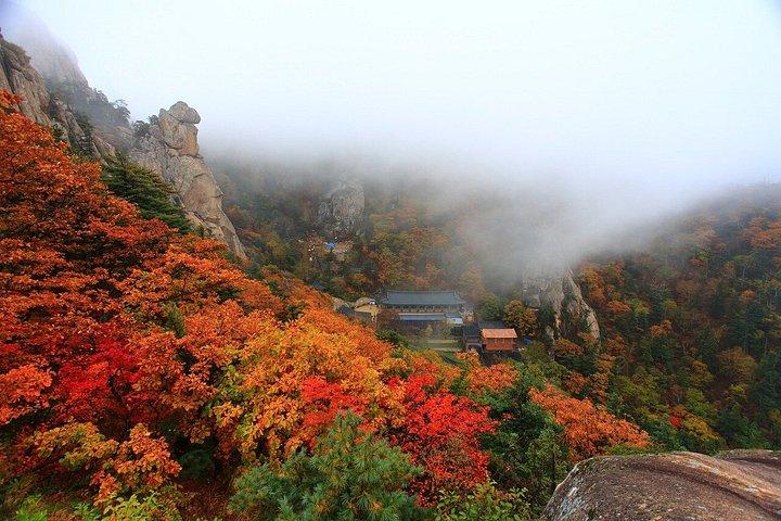 ソウル発雪岳と洛山寺日帰りツアー