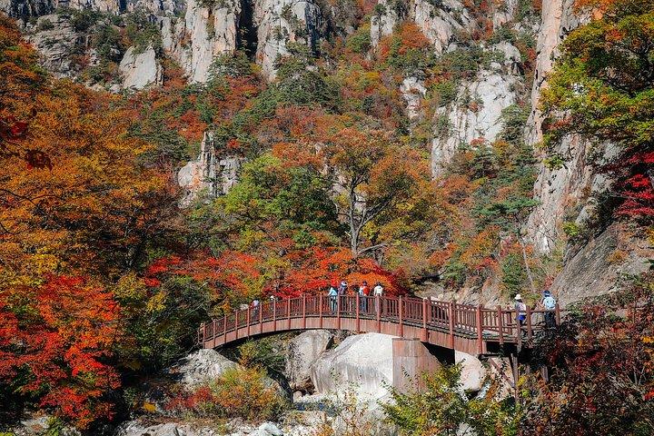 ソウル発雪岳と洛山寺日帰りツアー