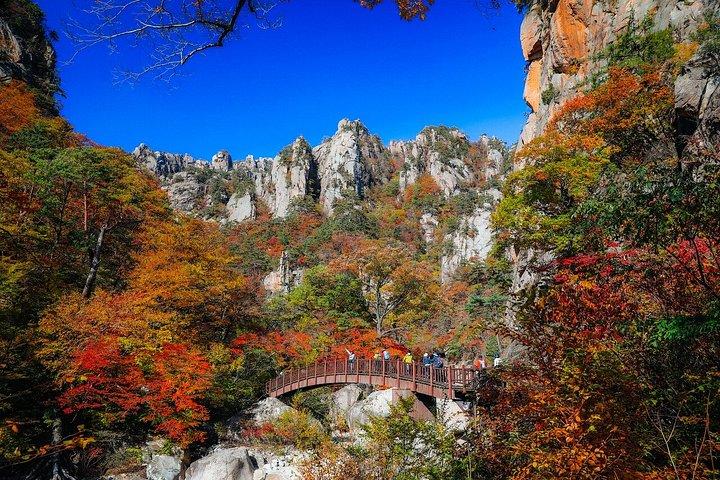 ソウル発雪岳と洛山寺日帰りツアー