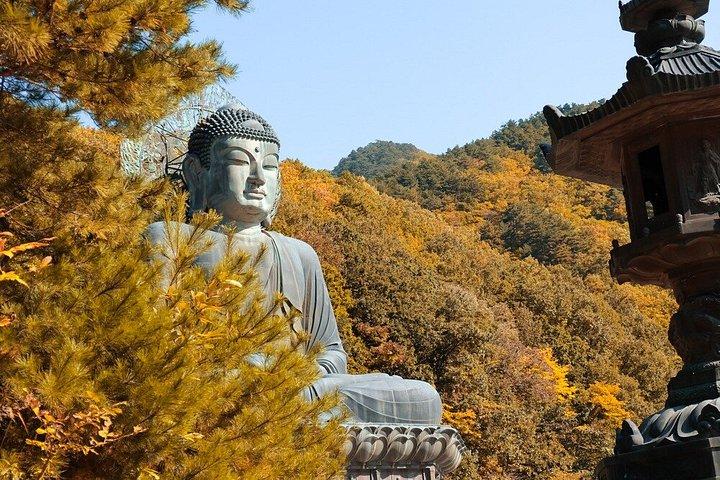 ソウル発雪岳と洛山寺日帰りツアー