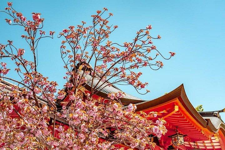 神戸・姫路文化ハイライト1日ツアー 大阪・京都発