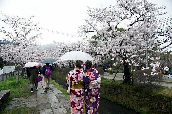 神戸・姫路ハイライト 大阪・京都発プライベート日帰りツアー