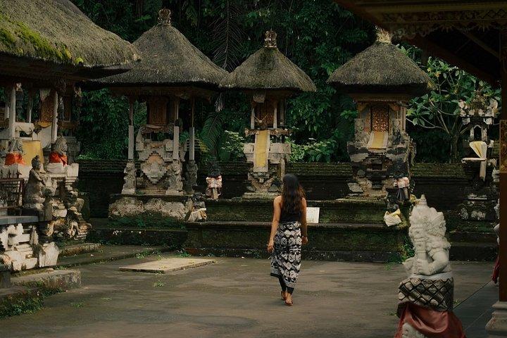 ウブドプライベートツアー：バリの隠れ家、寺院＆棚田