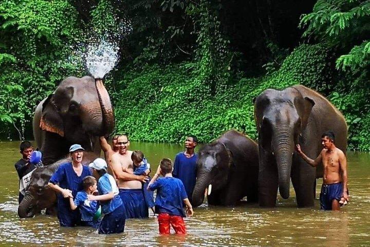 Rafting sulle acque bianche e santuario degli elefanti e cascate