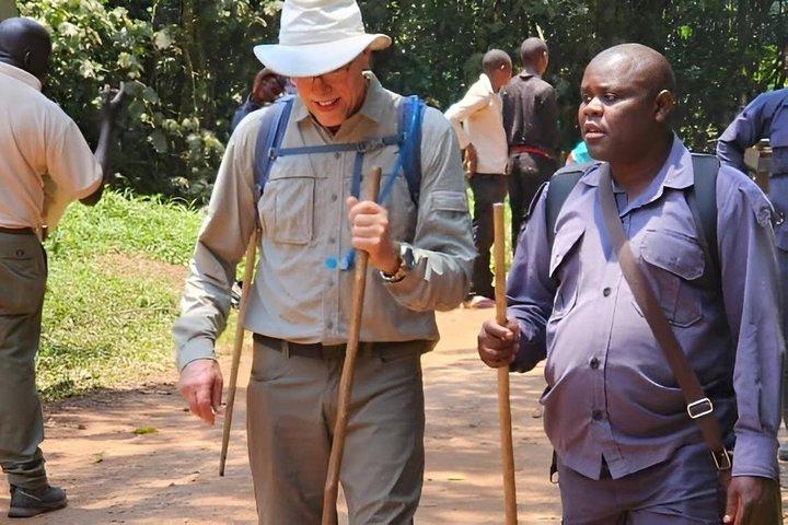 Betaalbare 2 dagen Gorilla tracking Bwindi via Kigali Rwanda