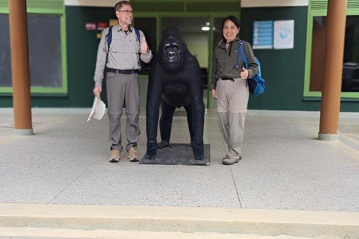 Betaalbare 2 dagen Gorilla tracking Bwindi via Kigali Rwanda
