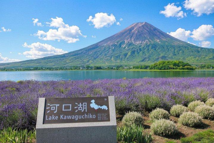 Mount Fuji Heldagstur från Tokyo Lake Kawaguchi & Yamanaka