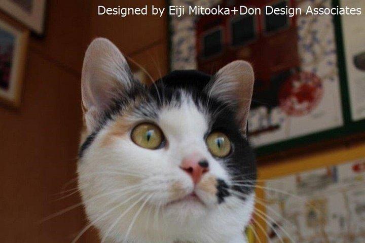 Day Trip Wakayama Cat Stationmaster train ride from Osaka