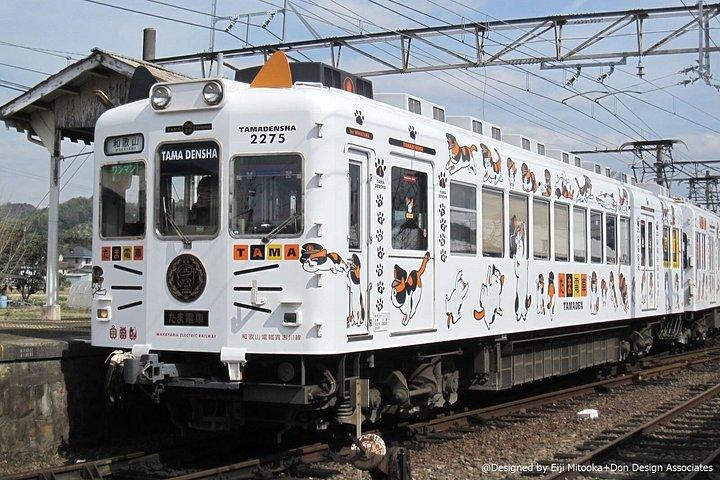 Day Trip Wakayama Cat Stationmaster train ride from Osaka