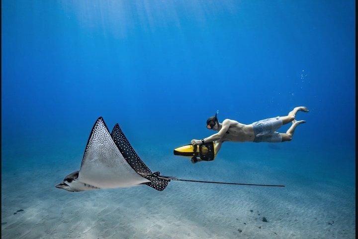Snorkla Lanai undervattensskotrar med GoPro Adventures
