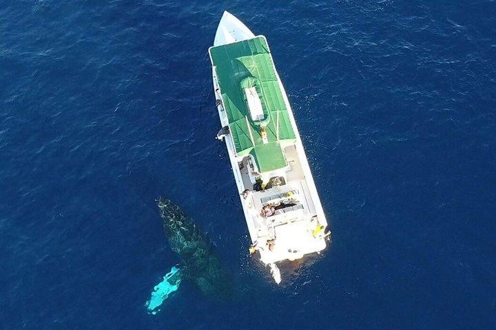 GoProアドベンチャー付きシュノーケルラナイ海中スクーター