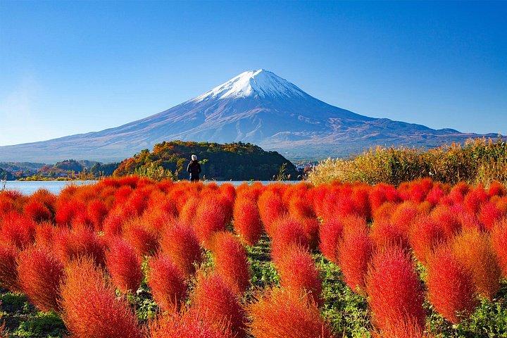東京発富士山全日観光ツアー