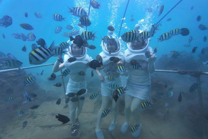 Cham Island Sea Trek og Snorkling af Speedboat