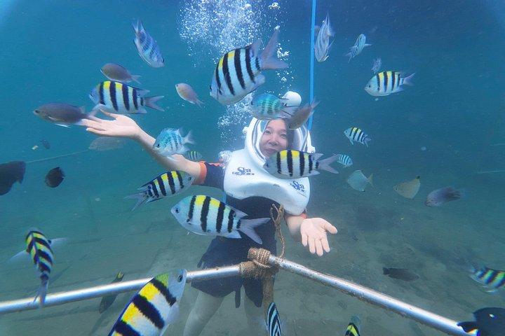 水中ウォーキングエクスカーションでホイアンからの終日チャム諸島クルーズ