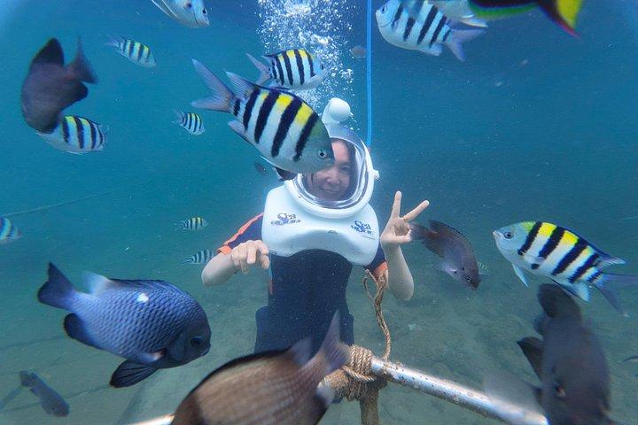 水中ウォーキングエクスカーションでホイアンからの終日チャム諸島クルーズ